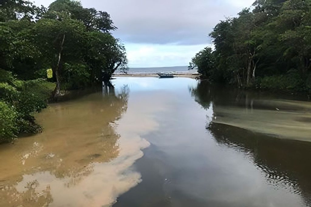 Ecosystem-based Adaptation (EbA) Facility’s Third Call for Proposals