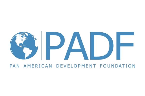 Pan American Development Foundation