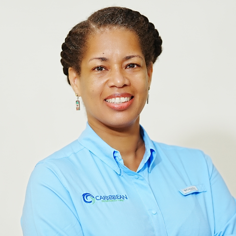 xr:d:DAF5ZyCTh5w:20,j:3871268788947161722,t:24041503