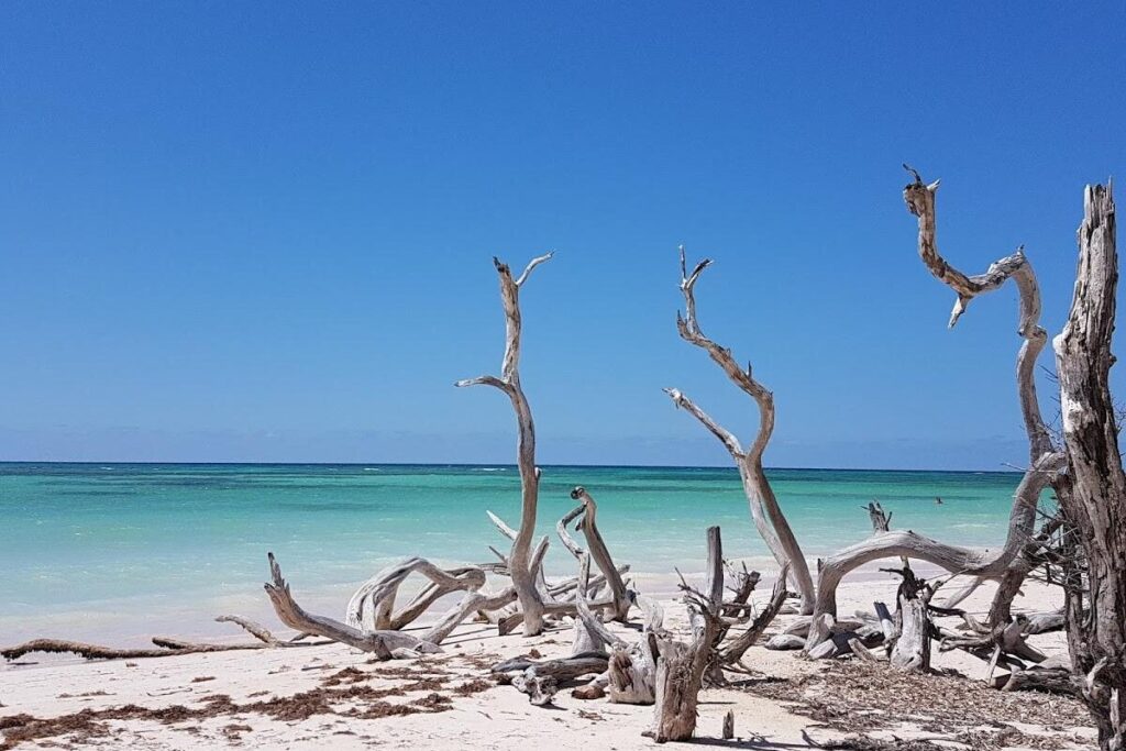 Advancing Circular Economy (ACE) Facility’s First Call for Proposals