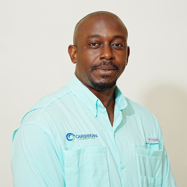 xr:d:DAF5ZyCTh5w:20,j:3871268788947161722,t:24041503