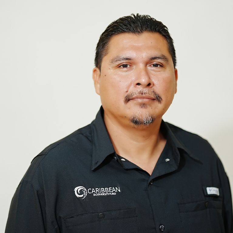 xr:d:DAF5ZyCTh5w:20,j:3871268788947161722,t:24041503